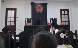Vụ ly hôn 1.200 tỉ đồng ở TPHCM: Toà sẽ triệu tập "người thứ ba"?