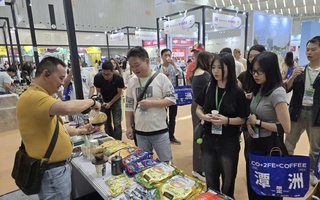 Sức hút của thị trường cà phê Trung Quốc