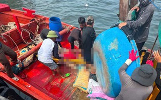 Thêm một thợ lặn tử vong khi khai thác hải sản