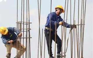 Hợp sức chăm lo người lao động