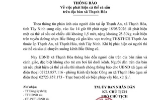 Tây Ninh phát cảnh báo khẩn vì cá sấu xuất hiện