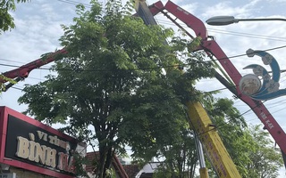 Gia Lai: Cần bơm bê tông bất ngờ gãy đổ, 3 người thương vong
