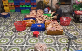 TPHCM phát hiện cơ sở giết mổ gia cầm hoạt động “chui” lúc gần 3 giờ sáng