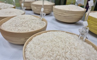 Ngành điều, gạo, rau quả trước quy định nhập khẩu mới của Trung Quốc