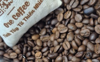 Giá cà phê hôm nay 23-5: Robusta tăng tiếp