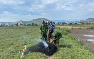 Lưới bẫy đánh bắt chim trời xuất hiện trên cánh đồng Quảng Trị