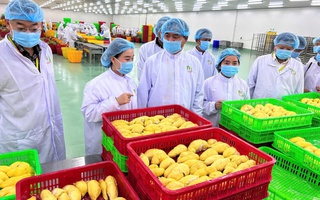 Nông sản Việt thích ứng quy định từ Trung Quốc