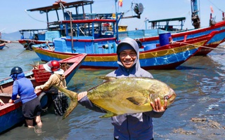Ngư dân phấn khởi khi trúng đậm “lộc biển”