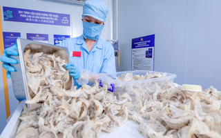 Cục Xuất nhập khẩu lưu ý thay đổi quan trọng với hàng thực phẩm vào Trung Quốc từ 1-6
