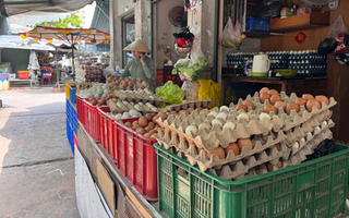 Lao đao vì giá trứng giảm sâu