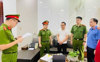 Một giám đốc công ty bị khởi tố