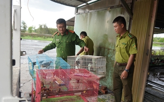 Hình ảnh nuôi nhốt, săn bắt động vật hoang dã trái phép ở Tây Ninh