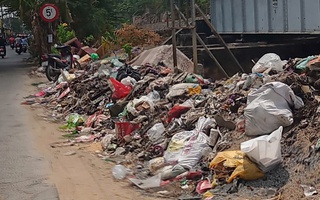 Đổ rác bừa bãi
