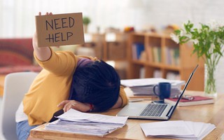 Hơn nửa lao động toàn cầu đang chán việc