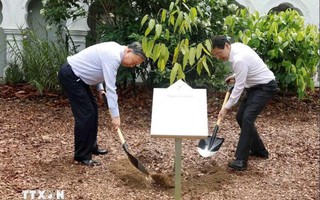 Tổng Bí thư, Chủ tịch nước Tô Lâm và Thủ tướng Lawrence Wong trồng cây tại Vườn Bách thảo Singapore