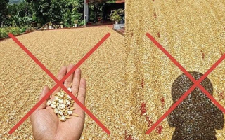 Đăng tin thóc phơi ngoài trời "nổ thành bỏng", người đàn ông bị xử lý