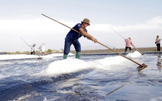 Giữ lửa nghề muối Long Điền