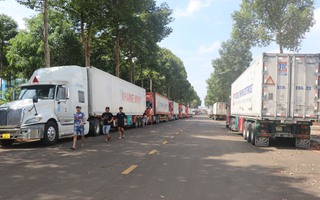 Hình ảnh hàng trăm xe container sầu riêng đậu chiếm các tuyến đường quanh Bến xe Dầu Giây