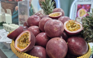Forget durian - Europe is hooked on this Vietnamese fruit