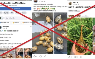 Tràn lan "chợ đen" thú rừng trên mạng