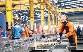 Để không "lạc lối" trên thị trường lao động
