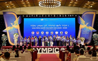 Hà Nội dẫn đầu giải Violympic