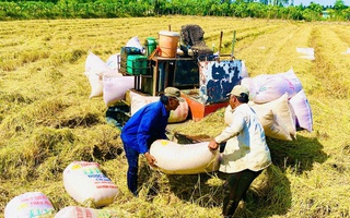 An opportunity to elevate the value of Vietnamese rice