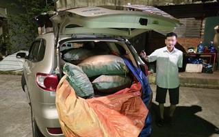 Khởi tố vụ án nhập lậu 1,45 tấn củ ba kích từ Trung Quốc về Việt Nam