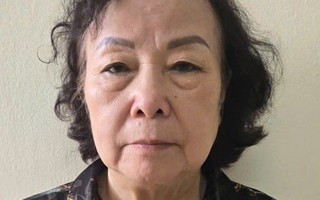 Nữ Viện trưởng Viện Khoa học môi trường và sức khỏe cộng đồng bị khởi tố