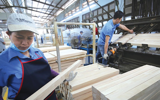 Xuất khẩu gỗ kỳ vọng sẽ sớm khởi sắc trở lại