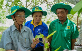 Mang giải pháp dinh dưỡng khoa học cho Điều Campuchia: Hành trình kiến tạo mùa vàng thịnh vượng