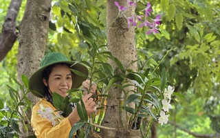 "Hồi sinh" lễ vật thành mầm xanh