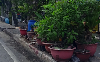 Chiếm dụng lối đi bộ