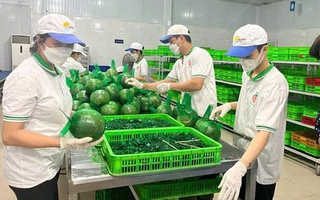 "Nhạc trưởng" cho nông sản