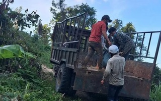 Vây bắt nghi phạm nổ súng giết người trong rừng sâu Gia Lai