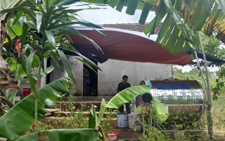Vào rừng hái cây thuốc, người phụ nữ bị rắn độc cắn tử vong