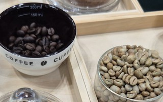 Giá cà phê hôm nay 17-6: Arabica bùng nổ, Robusta nối dài chuỗi tăng