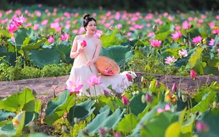 Đẹp ngỡ ngàng đồng hoa sen lớn nhất Đà Nẵng, du khách thích thú đến check-in