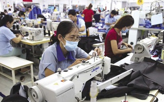 Đề xuất tham gia bảo hiểm tai nạn lao động đối với người lao động đang hưởng chế độ hưu trí