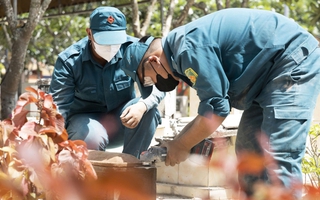 Mệnh lệnh từ trái tim: Hành trình vẹn tròn nghĩa tình