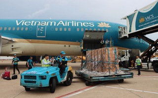 Sếu đầu đỏ "bay" từ Thái Lan về Việt Nam bằng Boeing 787