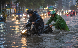 Chút tình của người dưng
