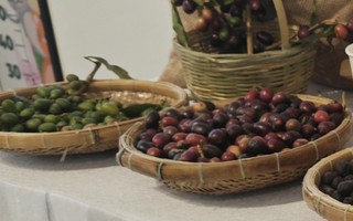 Giá cà phê hôm nay 26-6: Robusta tăng 3 phiên liền, cà phê Việt mở rộng thị phần tại Mỹ