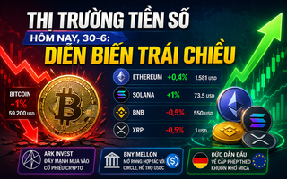 Thị trường tiền số hôm nay, 30-6: Diễn biến trái chiều
