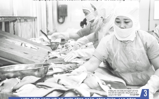 Báo in ngày 8-6: Tổ chức kỳ thi tốt nghiệp THPT an toàn, nghiêm túc