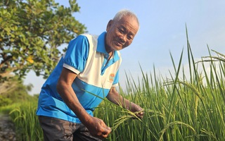 Từ cánh đồng hữu cơ đến thương hiệu OCOP vùng ven đô