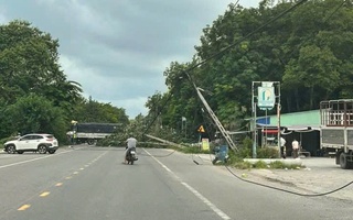 Cây xanh bật gốc kéo đổ 2 cột điện, dây điện chắn ngang đường ở TPHCM