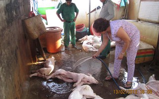 Khó kiểm soát thịt bẩn, thịt thối