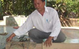 Mô hình chống ngập siêu rẻ