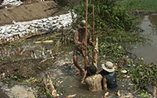 “Nhốt” TPHCM trong đê bao để chống triều cường